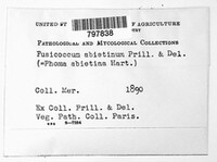 Image Associated With the Occurence